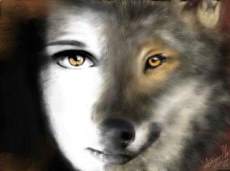 Wolf Spirit Animal 